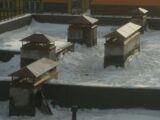 gal_dymnik_033
