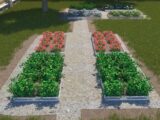gal_gryadki_015